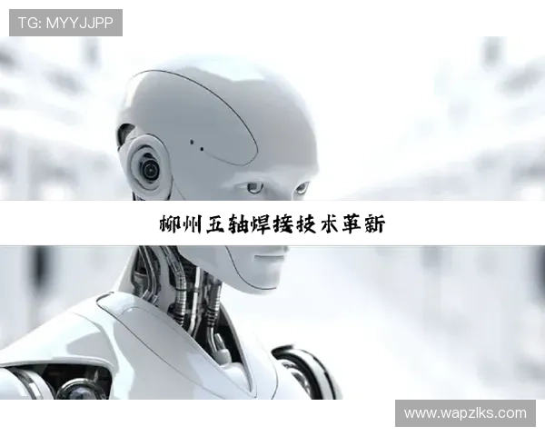 探讨z6尊龙在智能手机市场的竞争力和用户满意度